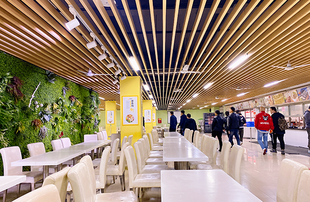 新学高考：成都全日制高三补习机构的领军者，